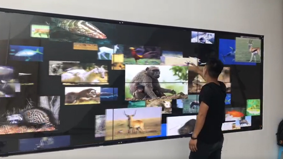 互动艺术_流动的照片墙虚拟现实技术、动感捕捉技术展示