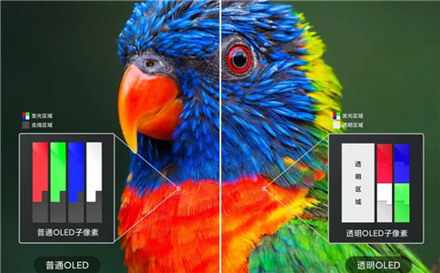 普通OLED子像素与透明OLED子像素对比