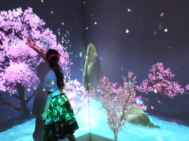 互动花海