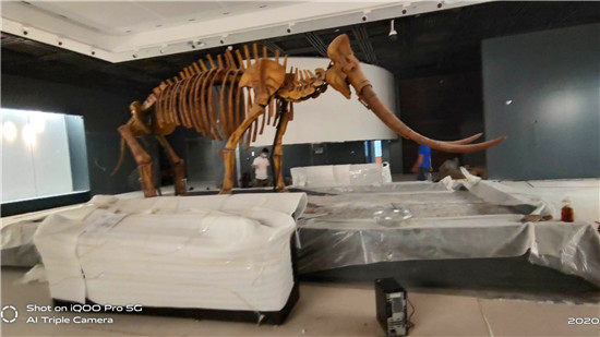 郑州博物馆案例展示_摩拓为多媒体产品应用