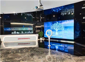 手势感应圈装置