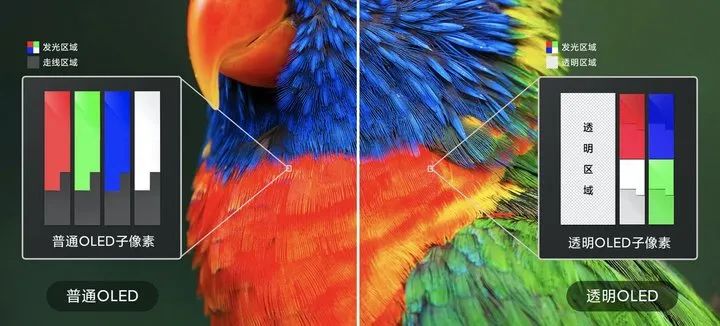 小米透明电视增加了近 50% 区域的「透明子像素」，从而在视觉上实现了较高的透明度。图片来自：小米