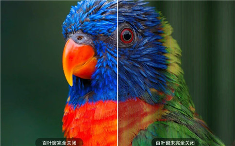 透明区域就像「百叶窗」开启时的状态